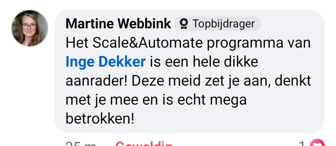 Scale & Autmate Online VA review